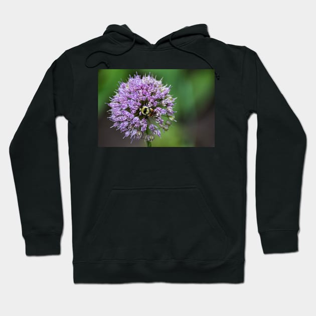 Bee doing it's thing. Hoodie by CanadianWild418